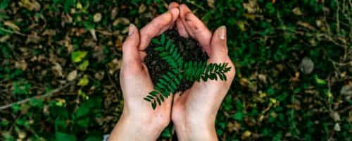 Eco-responsable